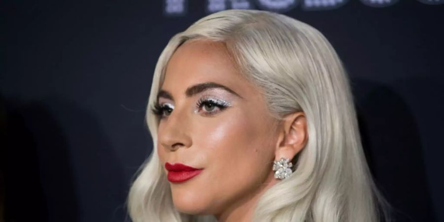 Lady Gaga hatte 500.000 Dollar Belohnung versprochen