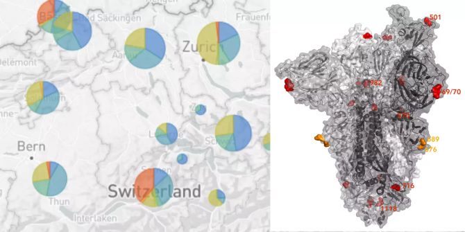 Coronavirus Mutationen Varianten