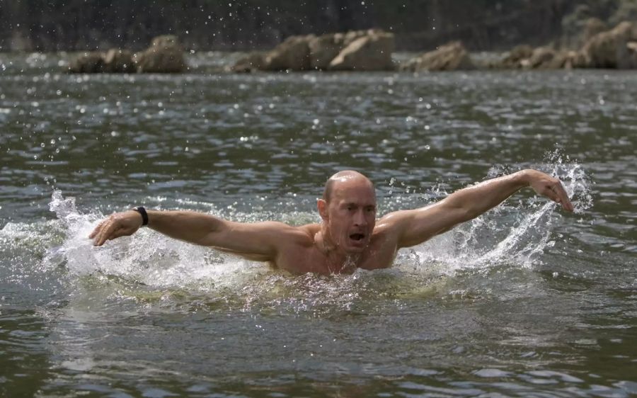 Auch im Wasser macht Putin keine schlechte Figur.