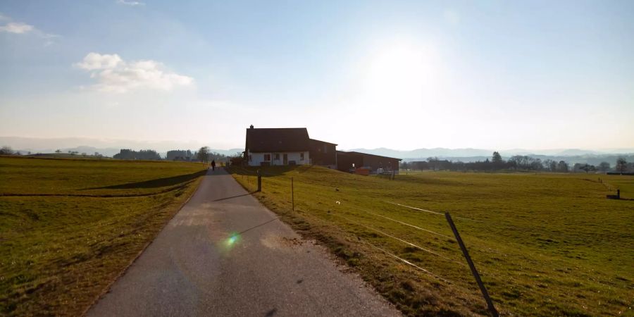 Ein Spazierweg in Andwil (SG).