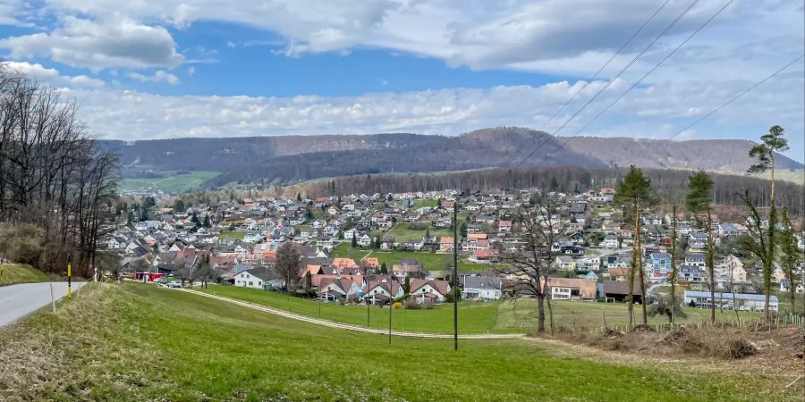 Ausblick auf die Gemeinde Lupsingen.