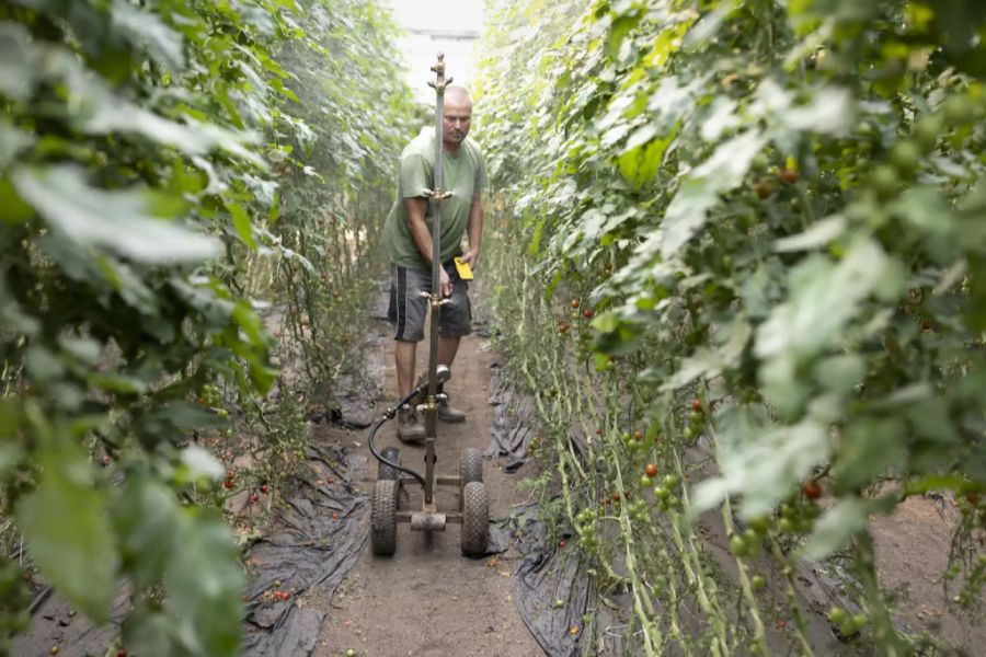 Bio Landwirtschaft