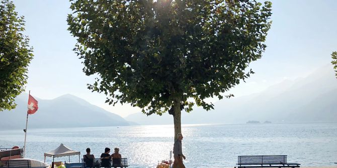 Sommer im Tessin.