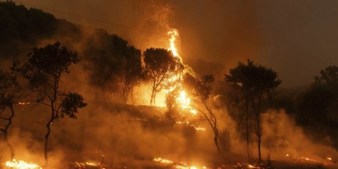 Die Feuer in Griechenland sind verheerend. Griechenland Waldbrände