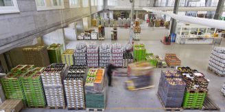 0,5 Prozent - Produzenten- und Importpreise sinken im Mai