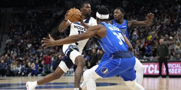 minnesota timberwolves