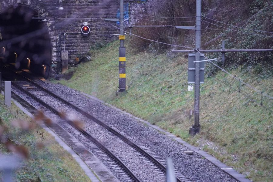 Zwischen Tiefenbrunnen und Stadelhofen gibt es Einschränkungen im Zugverkehr.