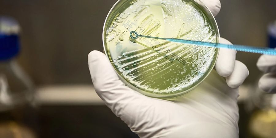 Die Kampagne «Stick to Science» hat einen offenen Brief an EU-Kommissionspräsidentin Ursula von der Leyen geschickt. Darin bitten die Initianten um eine schnelle Assoziierung der Schweiz und des Vereinigten Königreichs am EU-Forschungsprogramm «Horizon Europe». (Symbolbild)