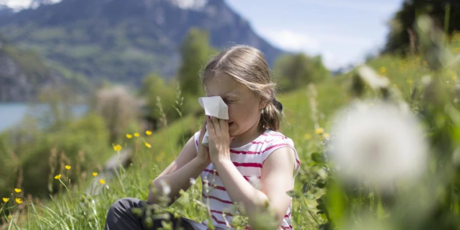 Blühende Gräser reizen bei kleinen und grossen Allergikerinnen die Nase. (Archivbild)