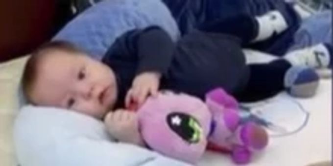 Auch Schweiz - Leihmutter-Babys aus Ukraine werden mit Eltern vereint