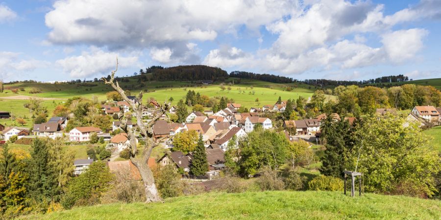 Hemmiken grenzt im Norden an Buus, im Nordosten an Hellikon (AG), im Osten an Wegenstetten (AG), im Südosten an Rothenfluh und im Südwesten und Westen an Ormalingen.