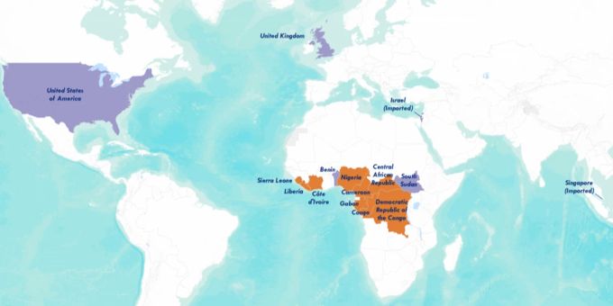 Länder, in denen zwischen 1970 und 2021 Fälle von Affenpocken auftragen, mit lokaler Ansteckung in Orange, importieren Fällen in Violett. Affenpocken Länder WHO