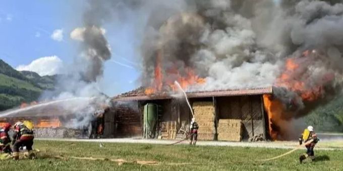 Die Feuerwehr löscht das Feuer. flächenbrand