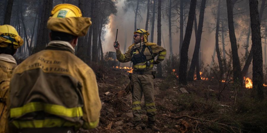 Feuerwehrleute sind während eines Brandes in der Sierra Culebra in der Provinz Zamora im Einsatz.