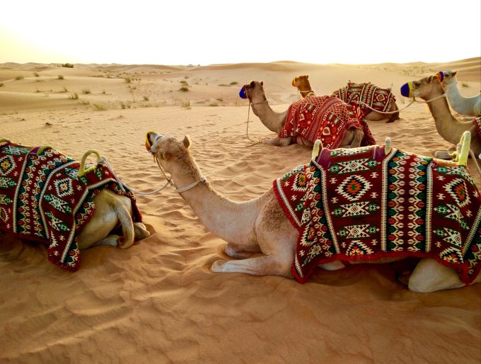 Grossstadt-Flair und dennoch eine uns fremde Natur entdecken? Dann eignet sich Dubai bestens für Ihre nächste Fernreise. Fernreise TUI