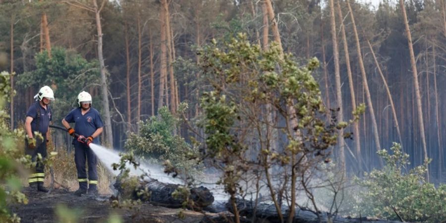 Feuerwehrleute im Wald von Frohnsdorf bei Treuenbrietzen
