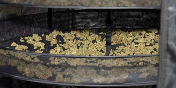 Marihuana Indoor Hanfplantage in Malix. Marihuana Indoor Hanfplantage