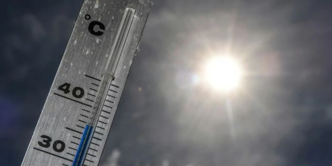 Die steigenden Temperaturen zieht immer mehr exotische Tiere in die Schweiz. Thermometer