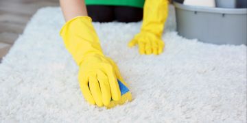 Hände mit Gummihandschuhen reinigen Teppich