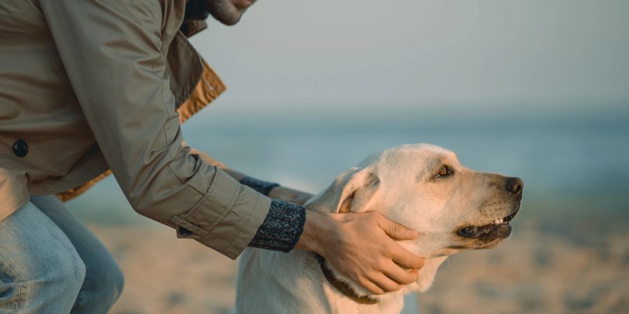 Hund und Mann am Strand