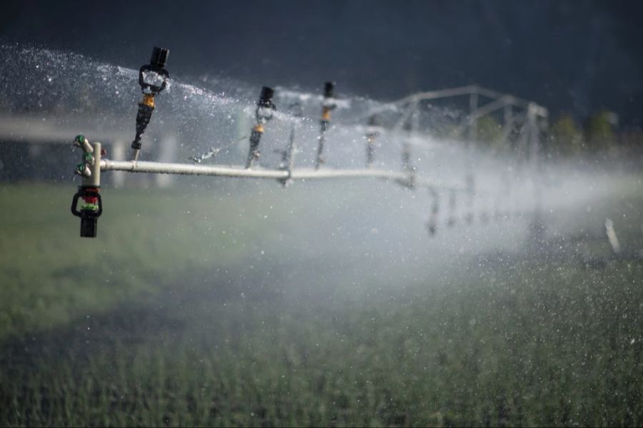 Mit dem so gewonnenen Strom sollen Meerwasser-Entsalzungsanlagen betrieben werden, deren Wasser zur Bewässerung dient. (Symbolbild)