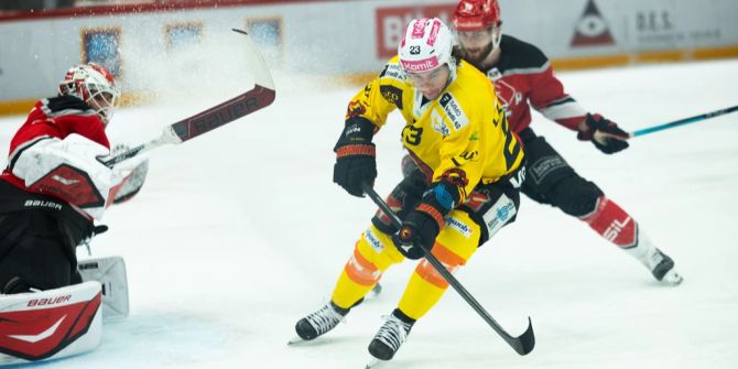 SC Bern