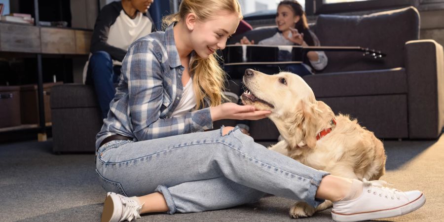 Golden Retriever mit Jugendlichen