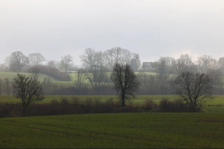 Am Sonntag bleibt der Nebel im Flachland und in den Voralpen zäh. Die Temperaturen unter den Wolken liegt um 0 Grad.