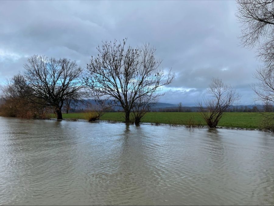 Hoher Wasserspiegel