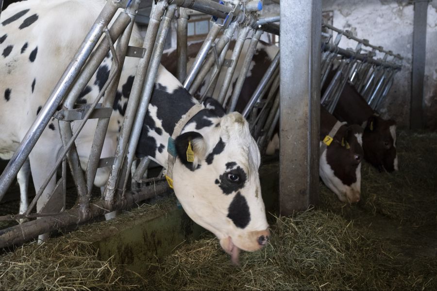 Abgewickelt wird die Hilfe über die dem Schweizer Bauernverband (SBV) nahestehende Bucher Gossweiler-Stiftung.