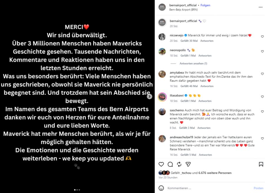 Der Bern Airport erhält nach dem Tod von Maverick viele Nachrichten.