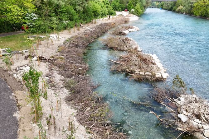 Aare