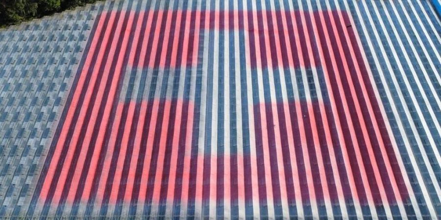 Schweizer Flagge Buchs