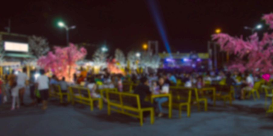 FEier Nacht Sommer Fest