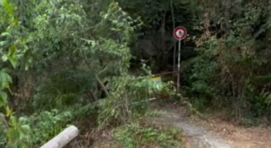 Zudem steht ein Fussgänger-Verbot-Schild am Weg-Eingang.