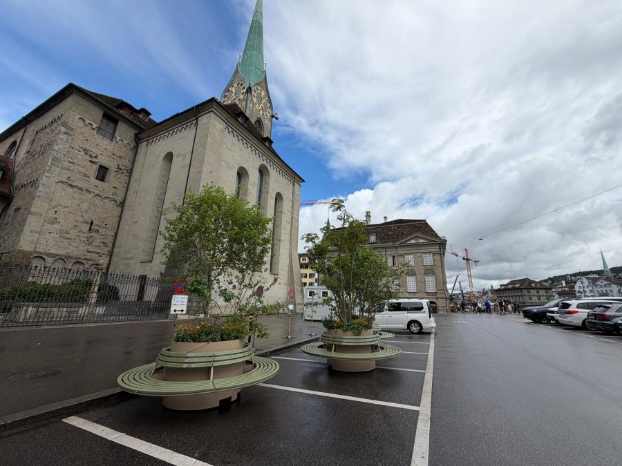 Die Stadt Zürich sperrt Parkplätze mit Topfpflanzen wegen einer Veranstaltung.