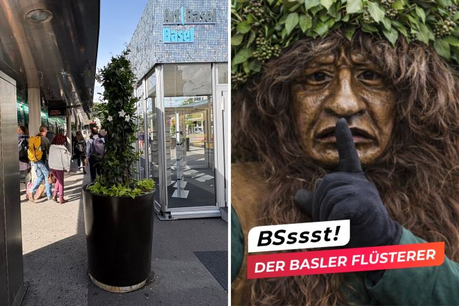 basler flüsterer