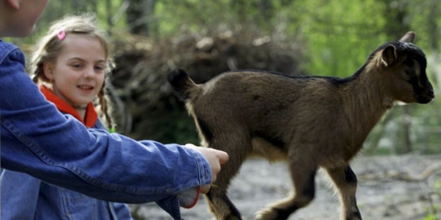 Der Tierpark Dählhölzli plant unter anderem einen neuen Familienzoo. (Archivbild)