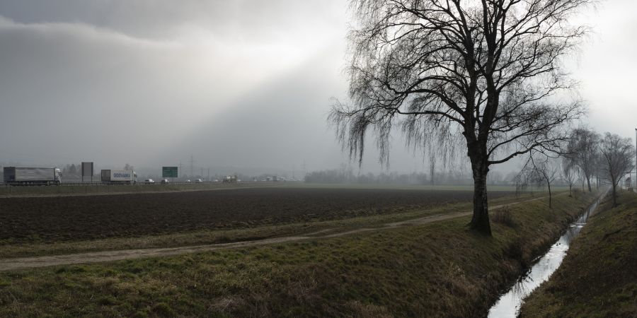 Oensingen