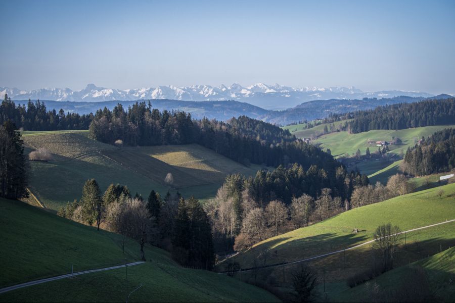 Emmental
