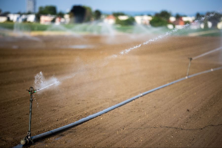 In der Landwirtschaft läuft ohne Bewässerung nichts mehr.