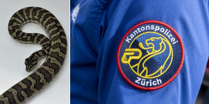 Winterthur Kantonspolizei Zürich