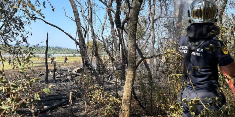 Der Wind erleichterte das Übergreifen des Brandes von einem Feld auf einen Wald.