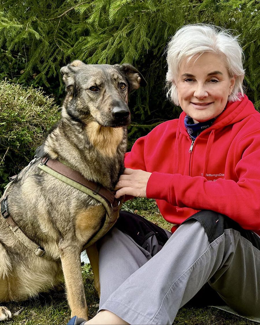 «In der Regel handelt es sich bei den aufgefundenen Kaninchen um erwachsene Tiere», sagt Martina Monti von der Stiftung Tierrettungsdienst.