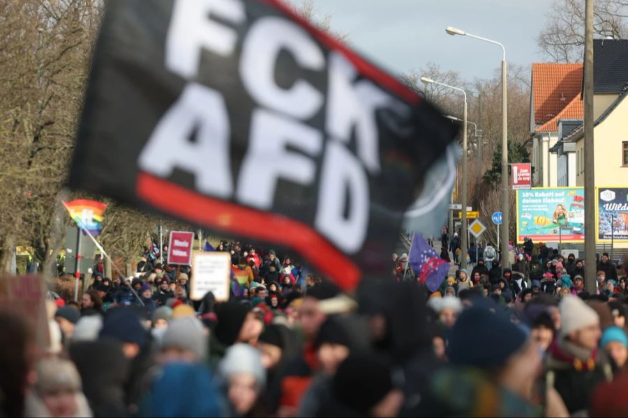 Etwa zehntausend Menschen protestierten in Riesa gegen die AfD.