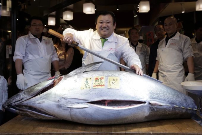 Ein 200 Kilogramm schwerer Blauflossen-Thunfisch, der 2016 für ca. 106'000 Franken verkauft wurde. (Archivbild). Thunfisch