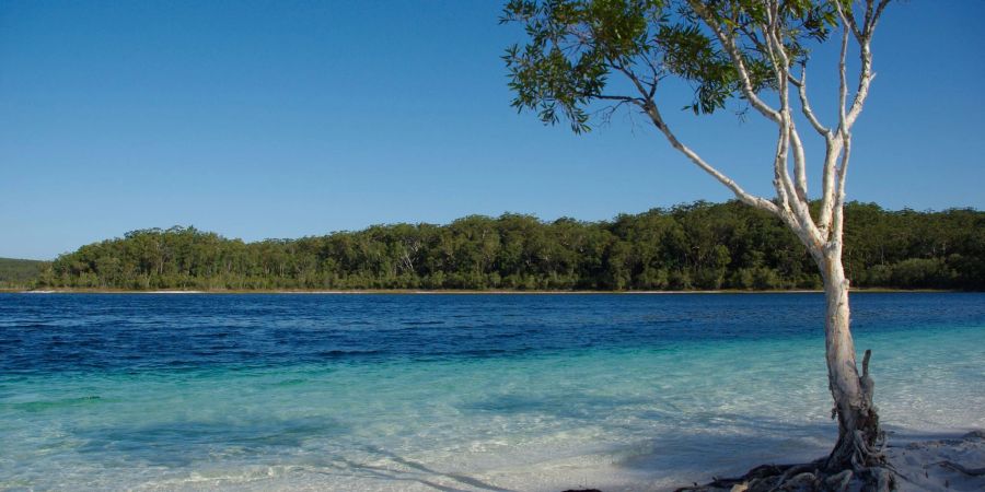 Lake McKenzie