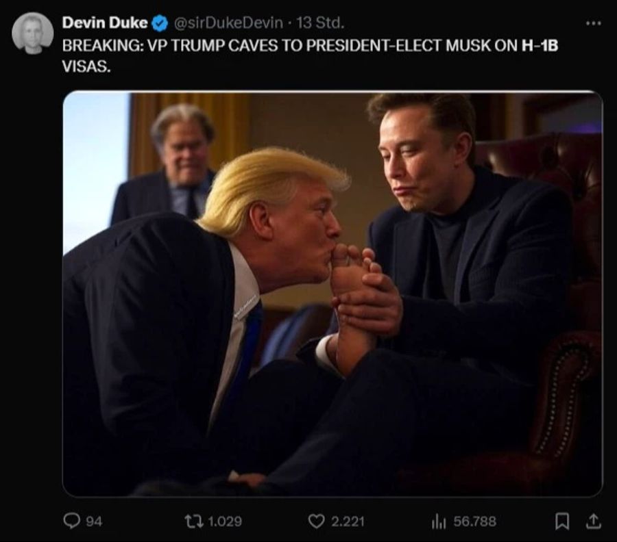 Musk Füsse Visa Trump