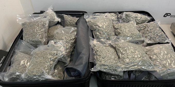 Sichergestelltes Marihuana am Flughafen Zürich. Sichergestelltes Marihuana