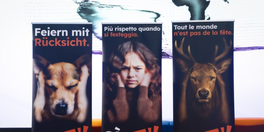 Die Urheberinnen und Urheber der Feuerwerksinitiative plädieren für rücksichtsvolles Feiern ohne lautes Feuerwerk.